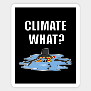 Climate What Melted Snowman Christmas 2020 Funny Magnet